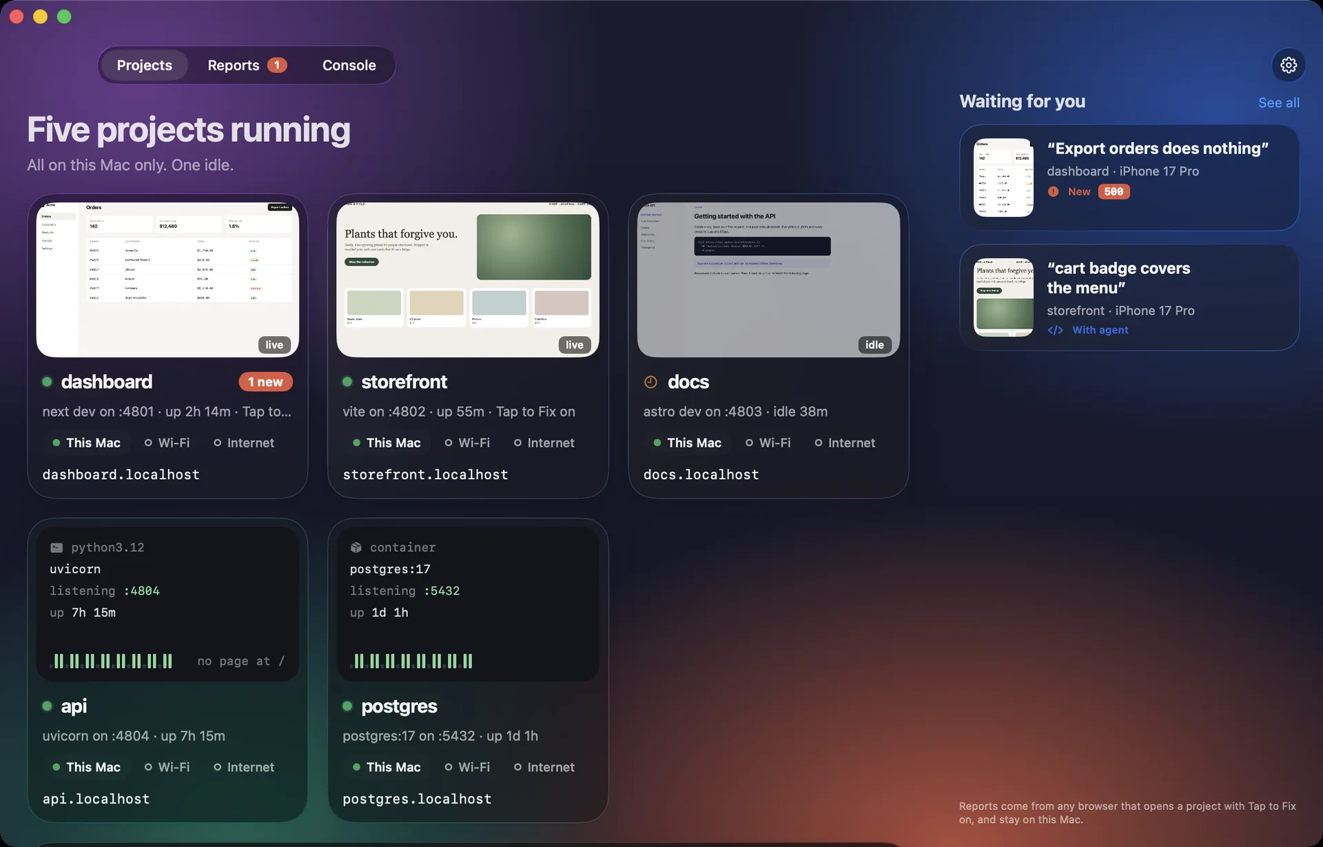 The Localdock window: five projects shown as pictures of their pages — dashboard, storefront, docs, an API and a Postgres container — with who can open each, and two reports waiting in a rail on the right.